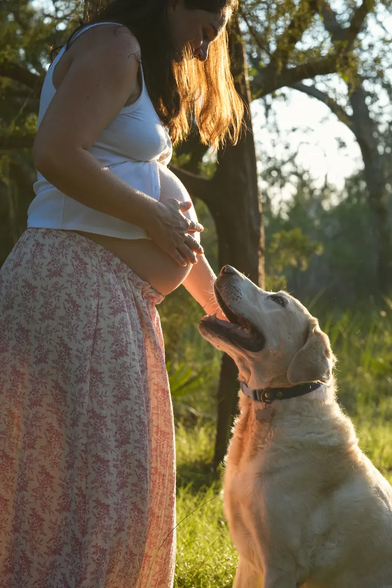 An expecting mother resting her hands on her belly as a golden retriever looks up at her